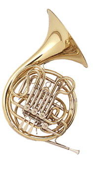 Best French Horn Lessons in Dallas